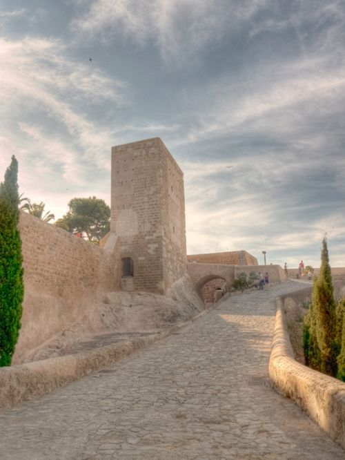 Fotografia de Vicente Nondedeu - Galeria Fotografica: Porfolio - Foto: 