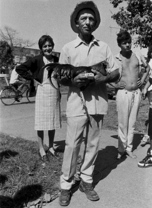 Fotografia de Adrin Vidal Fotografa - Galeria Fotografica: Retratos - Foto: 