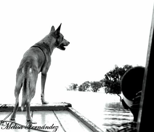 Fotografia de Mely - Galeria Fotografica: El da a da  - Foto: el chano