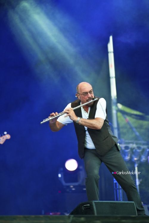 Fotografia de Carlos Melchor - Galeria Fotografica: Conciertos - Foto: Conciertos