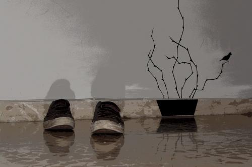 Fotografia de Pablo Pascual - Galeria Fotografica: Amando el arte - Foto: casi llegando