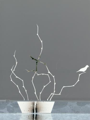 Fotografia de Pablo Pascual - Galeria Fotografica: Amando el arte - Foto: vida inerte