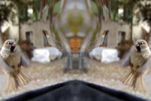 Fotografia de Pablo Pascual - Galeria Fotografica: Amando el arte - Foto: el espejo del alma