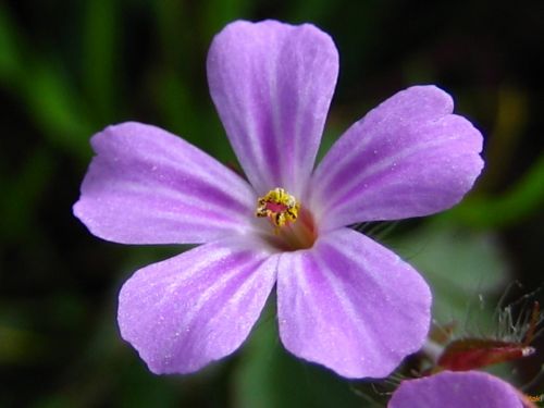 Fotografia de epic - Galeria Fotografica: naturaleza - Foto: 