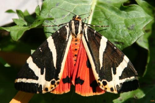 Fotografia de epic - Galeria Fotografica: naturaleza - Foto: 