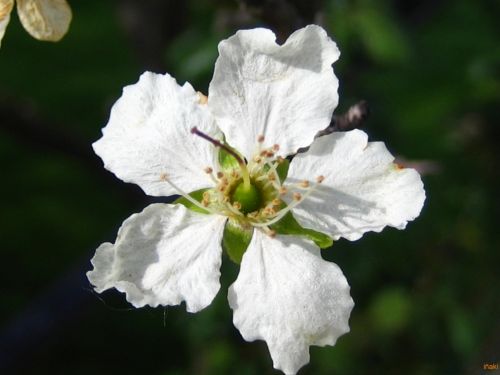 Fotografia de epic - Galeria Fotografica: naturaleza - Foto: 