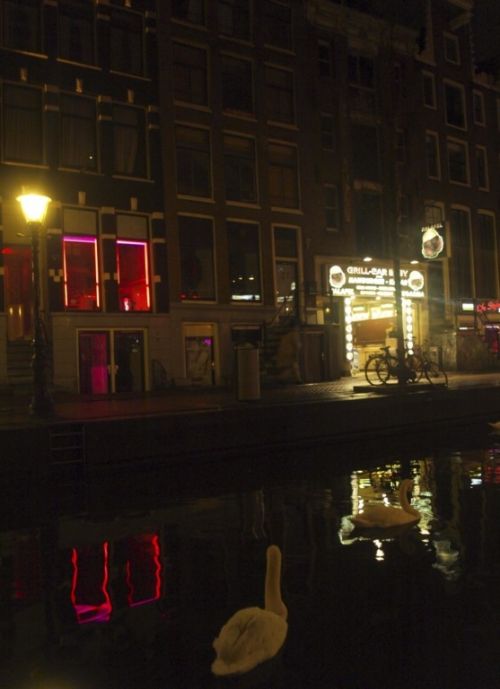 Fotografia de Oskr Garcia - Galeria Fotografica: Amsterdam - Foto: 