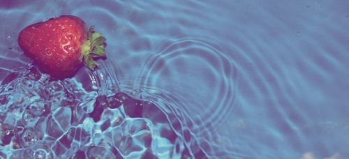 Fotografia de gra - Galeria Fotografica: Naturaleza - Foto: 