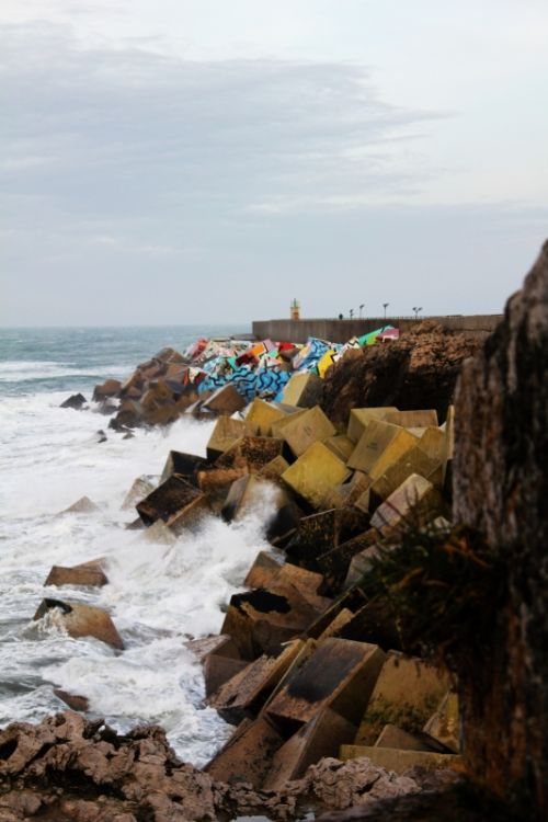 Fotografia de gra - Galeria Fotografica: Naturaleza - Foto: 