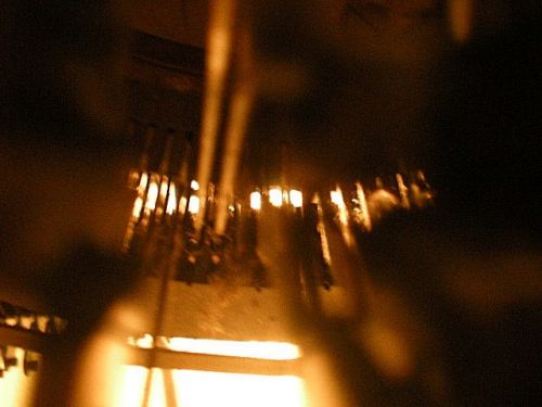 Fotografia de 19ricky58 - Galeria Fotografica: MacrofotoS - Foto: Animal Metalico 2