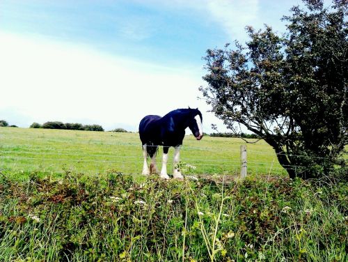 Fotografia de min - Galeria Fotografica: fotillos - Foto: Patranco