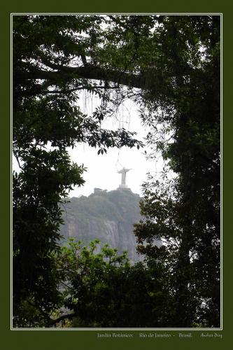 Fotografia de ANDRES DIAZ - FOTOmedia - Galeria Fotografica: Brasil - Foto: Jardn Botnico de Ro