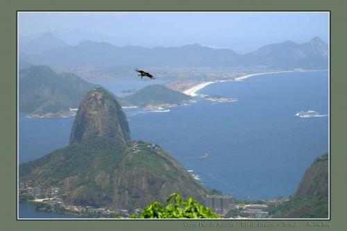 Fotografia de ANDRES DIAZ - FOTOmedia - Galeria Fotografica: Brasil - Foto: Pan de Azcar
