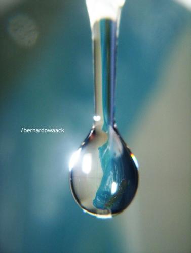 Fotografia de Sin Nombre - Galeria Fotografica: Fotos Macro - Foto: Beleza oculta