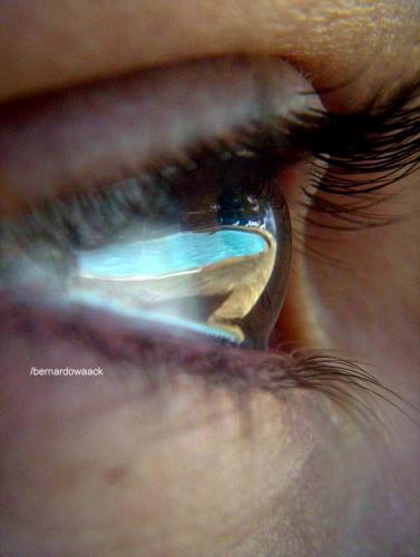 Fotografia de Sin Nombre - Galeria Fotografica: Fotos Macro - Foto: Um belo olhar jovial