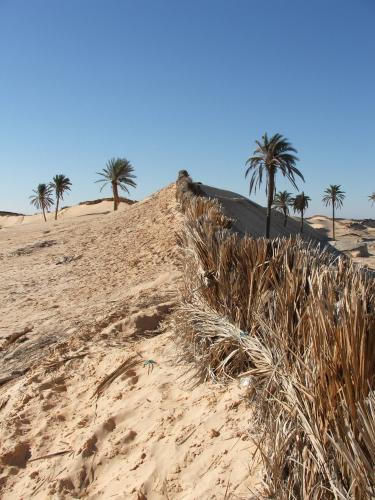 Fotografia de Marcos Osorio - Galeria Fotografica: Tnez - Foto: Desierto Douz