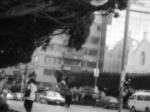 Fotografia de EMMHA INCROBUS - Galeria Fotografica: Aresis - Foto: tuxtla gut