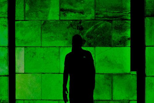 Fotografia de Taurus - Galeria Fotografica: Un poco de todo - Foto: 