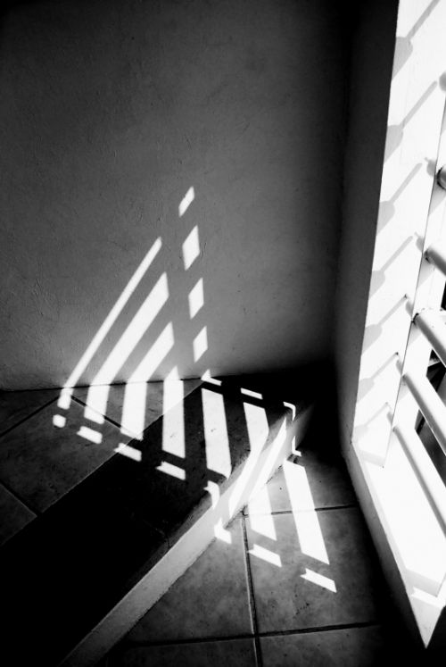 Fotografia de Taurus - Galeria Fotografica: Un poco de todo - Foto: 