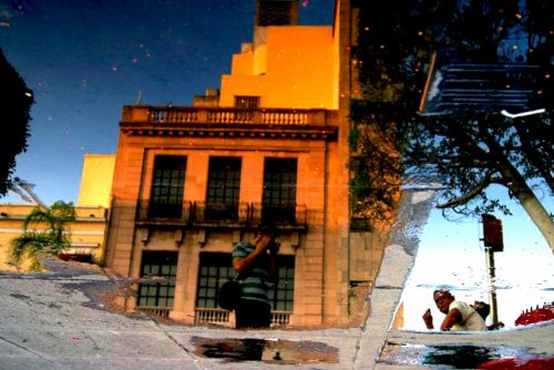 Fotografia de Taurus - Galeria Fotografica: Un poco de todo - Foto: 