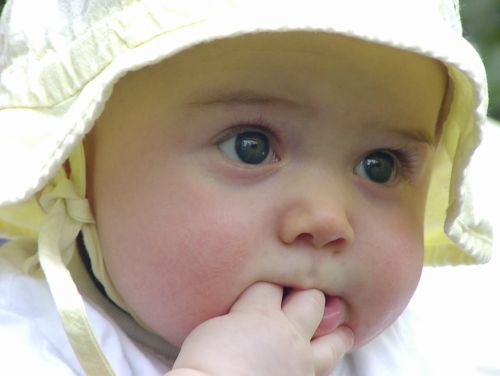 Fotografia de enfoque85 - Galeria Fotografica: CRGV: 1.614 / FIP: VE-1432 / SNTP: 5957 - Foto: 