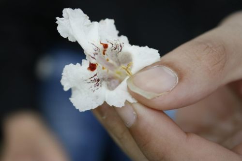 Fotografia de Bonilla Fotografia - Galeria Fotografica: Muestras - Foto: 