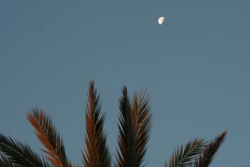Fotografia de Al - Galeria Fotografica: Luces - Foto: Lluna