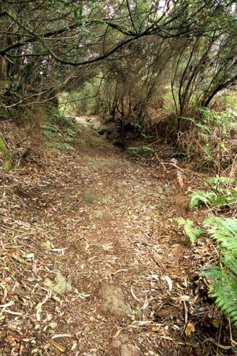 Fotografia de jazz - Galeria Fotografica: ciudad naturaleza - Foto: Las Mercedes