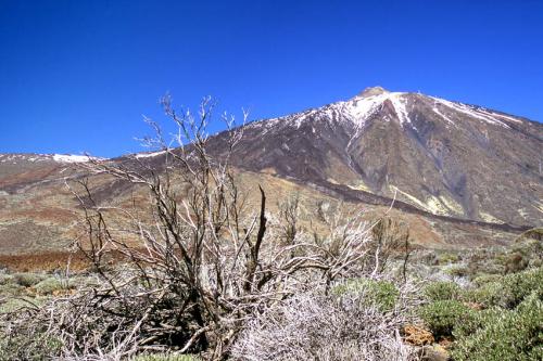 Fotografia de jazz - Galeria Fotografica: ciudad naturaleza - Foto: Teide