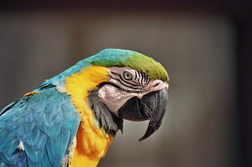 Fotografia de byalex - Galeria Fotografica: LANZAROTE - Foto: lanzarote