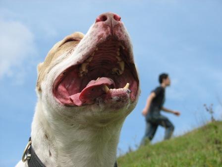 Fotografia de Juan Diego Cano - Galeria Fotografica: Something... - Foto: 