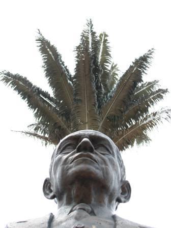 Fotografia de Juan Diego Cano - Galeria Fotografica: Something... - Foto: 