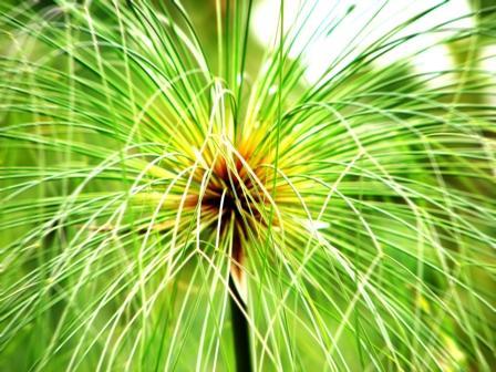 Fotografia de Juan Diego Cano - Galeria Fotografica: Something... - Foto: 