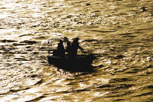 Fotografia de Federico Lojo - Galeria Fotografica: Agua y Luz - Foto: Mariscadores de oro