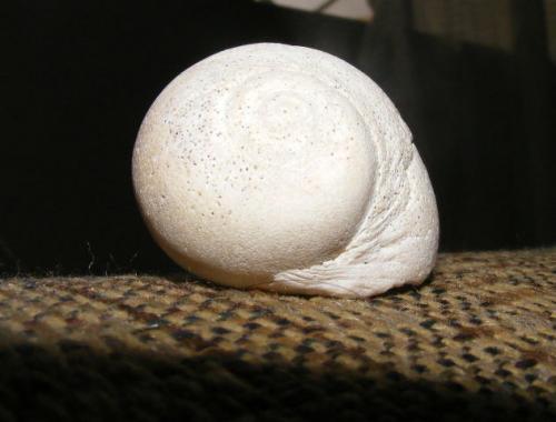 Fotografia de azul - Galeria Fotografica: la historia de un caracol - Foto: 	Deslizandose en madrugadas							