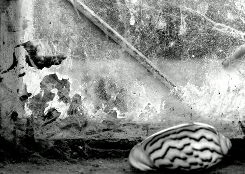Fotografia de azul - Galeria Fotografica: la historia de un caracol - Foto: 	Pesares vivio							