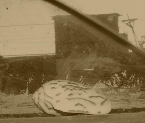 Fotografia de azul - Galeria Fotografica: la historia de un caracol - Foto: 	y solo con recuerdos se marcho							