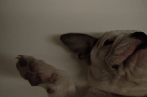 Fotografia de Javier - Galeria Fotografica: Furia - Foto: mirando el cielo