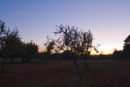 Fotografia de Buran - Galeria Fotografica: IBIZA - Foto: 