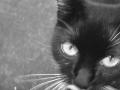 Fotos de Edith -  Foto: el Gato - 