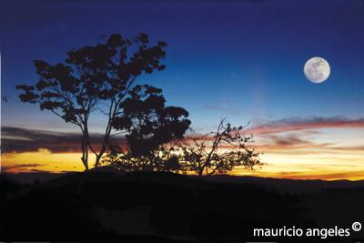 Fotografia de yei-atl - Galeria Fotografica: la vida al encuentro con la imgen - Foto: 2 0 0 0