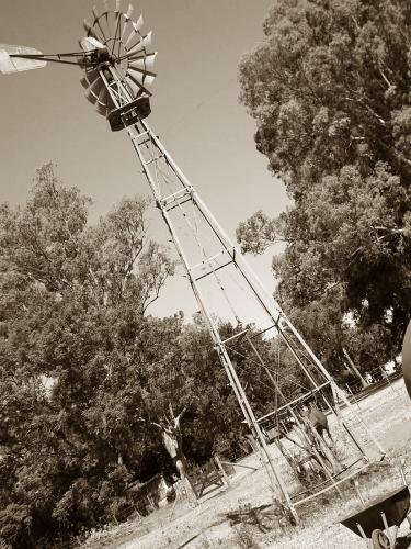 Fotografia de gustavo ponce - Galeria Fotografica: los buenos tiempos - Foto: el molino