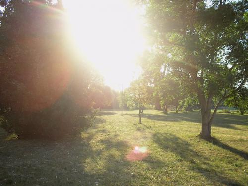 Fotografia de gustavo ponce - Galeria Fotografica: los buenos tiempos - Foto: reflejos