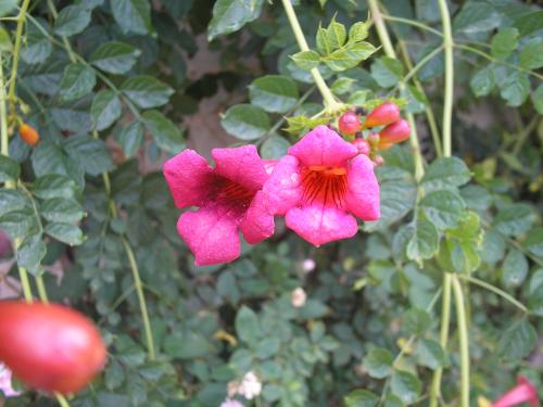 Fotografia de gustavo ponce - Galeria Fotografica: los buenos tiempos - Foto: vida en colores