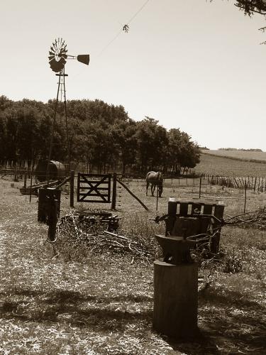 Fotografia de gustavo ponce - Galeria Fotografica: los buenos tiempos - Foto: mi espacio