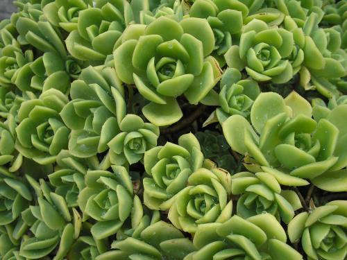 Fotografia de gustavo ponce - Galeria Fotografica: los buenos tiempos - Foto: gotas de agua