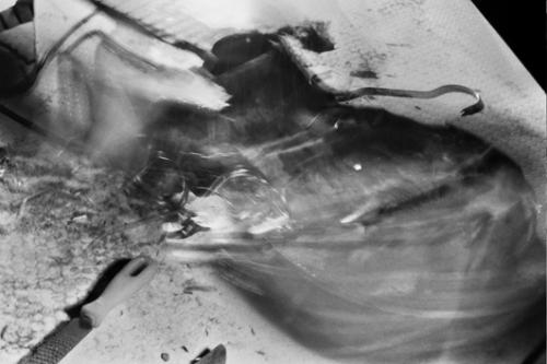 Fotografia de Luis Montejano Celma - Galeria Fotografica: Fragmentaci�n objetual - Foto: 3