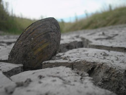 Fotografia de gustavo ponce - Galeria Fotografica: los buenos tiempos - Foto: naturaleza muerta