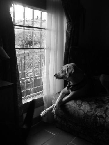 Fotografia de Zayari - Galeria Fotografica: Blanco y Negro - Foto: Vera en gris