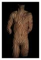 Foto de  Carlos Carpier - Galería: Desnudos Masculinos - Fotografía: M5
